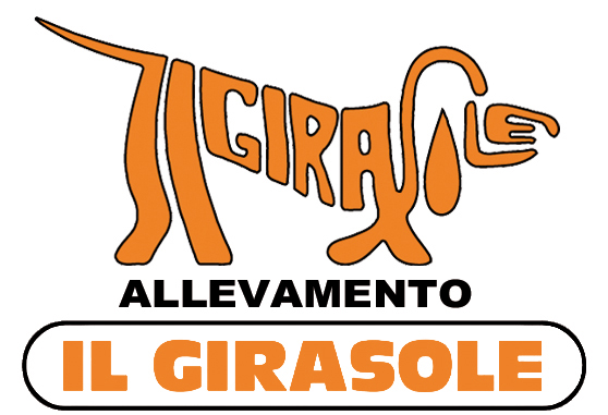 00 logo il girasole