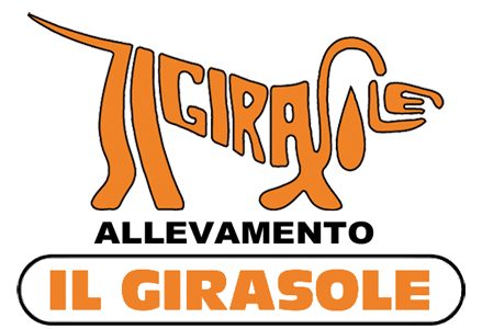 Home 00 logo il girasole
